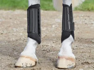 eventing_hind_boots_black_807628_ls.webp